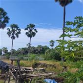 Giải