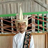 Pháo