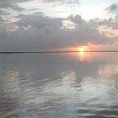 Vòng