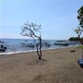 Chơi