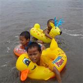 Sự T
