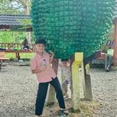 Vàng