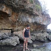 NGỰA