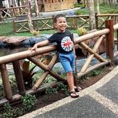 Giải