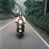 Trực