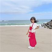 Dự b