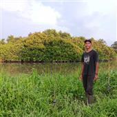 Vận 